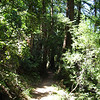 Big Sur 2009 : We camped at Fernwood resort with a fun group that made me laugh all weekend!  Thanks guys it was really needed!!