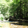 The Big Sur creek that we camped next to.